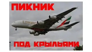 Пикник под крыльями ✈️