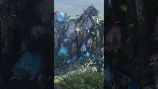 Tomorrowland 2024 - Mainstage