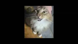 billy theme song