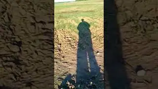 Коп 2024. Разведка полей #metaldetecting #воскресенск #коп #лето #automobile