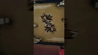 Сняли комнату вместе с хозяйкой😁