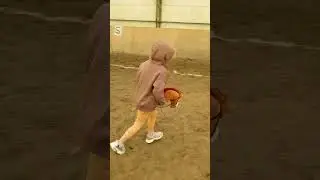 Тирьям тирьям. Хоббихорсы