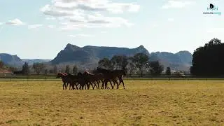 Ben Duncan heads back to Widden Stud to see how the farm is progressing.