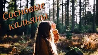 простые стихи СОСНОВЫЕ КАЛЬЯНЫ #стихи#слушатьстихи#короткиестихи
