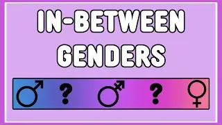 What Lies Between Genders