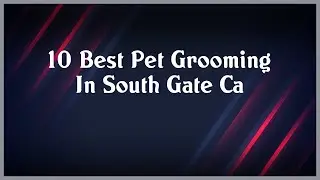 Top 10 Pet Grooming In South Gate Ca