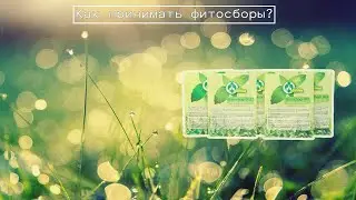 Как принимать фитосборы 
