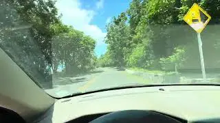 Pacific Tropical Mountain Drive