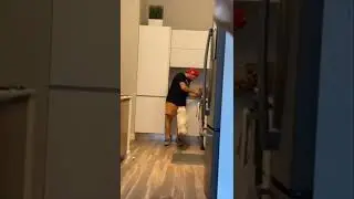 Funny cats 🐱