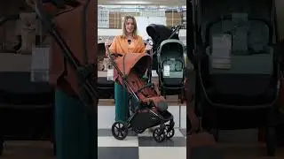 КОЛЯСКИ ПО ЗНАКАМ ЗОДИАКА | ЛЬВЫ