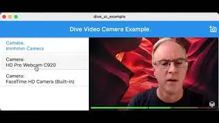 Dive Video Camera Example