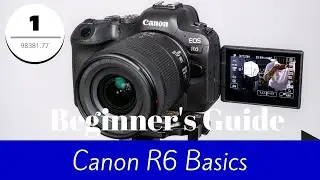 Canon R6 - Basic Guide for Beginners