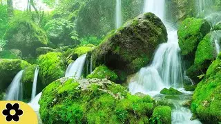 3 Hour Brain Power Study Music: Nature Sounds, Focus Music, Studying Music, Work Music, ✿2620C