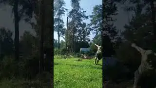 5 сентября 2024 г.
