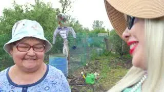 3. Болезни растений и их лечение.