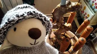 Влог : Готовим шашлык из барсука 😱 . Вкусный гарнир 🥗