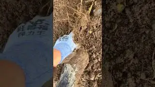 Всё! Больше не ногой! 😤