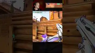Присел попутчик 