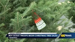Boy Scout troops begin Christmas tree sales