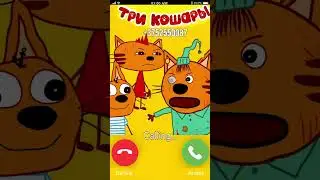 ТРИ КОТА звонят в 