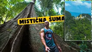 Popeo sam se na Budistički HRAM - Tajland. Vlog 932