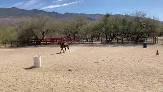 Emma Lucas -Riding demo