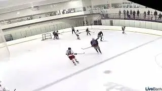 vs American Hockey Academy (Assist)