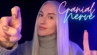 ASMR | Quick Cranial Nerve Exam ✨