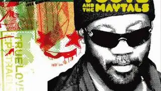 toots and the maytals 54-46 dub version