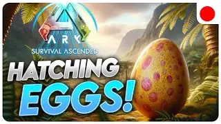 Ark Survival Ascended - Hatching Gigantoraptor Eggs! 