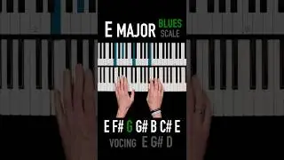 ✨Blues E major scale☕️ Easy🧉