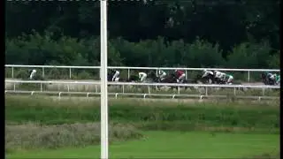 28.07.2013 - Приз Министерства сельского хозяйства РФ на лош. 4 лет и ст. чквп - Скай Прайд