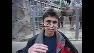 Me at the zoo in G Major 4 {FIRST ME AT THE ZOO VIDEO EFFECTS}