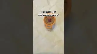 5 сентября 2024 г.