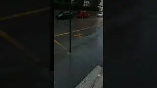 Pioggia ⛈