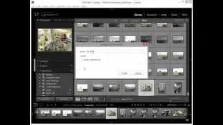 Using Smart Collections to Automatically Organize Lightroom Images by Date