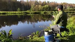 Три Часа на Фидерной Точке за Три Минуты. Подводная съемка. / Underwater Feeder Fishing