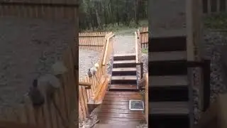Святой Источник