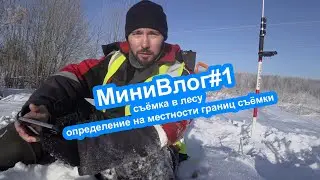 Минивлог#1