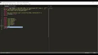 16 Input Types in HTML Every Web Developer | HTML Input Types Tutorials 2023