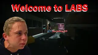 Labs is very SCARY