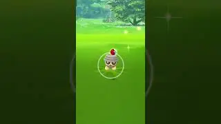 seedot gotcha #pokemon #pokemongo #newpokemon