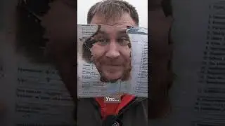 Как проверить ПТС на подлинность?