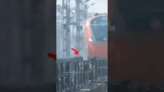 बाल-बाल बची गाय वंदे भारत की चैपेट में आने से || Vande Bharat Express vs Cow 😱| #vandebharatexpress