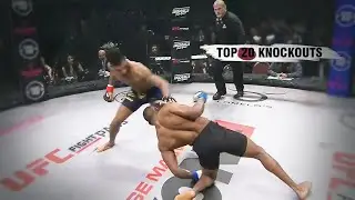 Top 20 Knockouts in MMA | Part 1