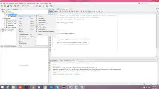Zoduna C Standard DataStore Windows Java Object using Netbeans 8.1 IDE  - Example Program Tutorial