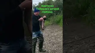 Путешествие по Камчатке. Ловим с дочкой горбушу.