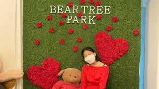 Парк Медведей «Bear Tree Park» в Корее #корея #южнаякорея #парк #паркивкорее #жизньвкорее