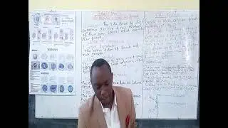 Reproduction in Plants and Animals Biology Form 3