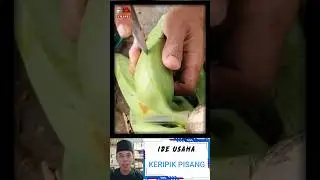 Usaha ini omset 800 ribu perhari #shorts #trending #viral